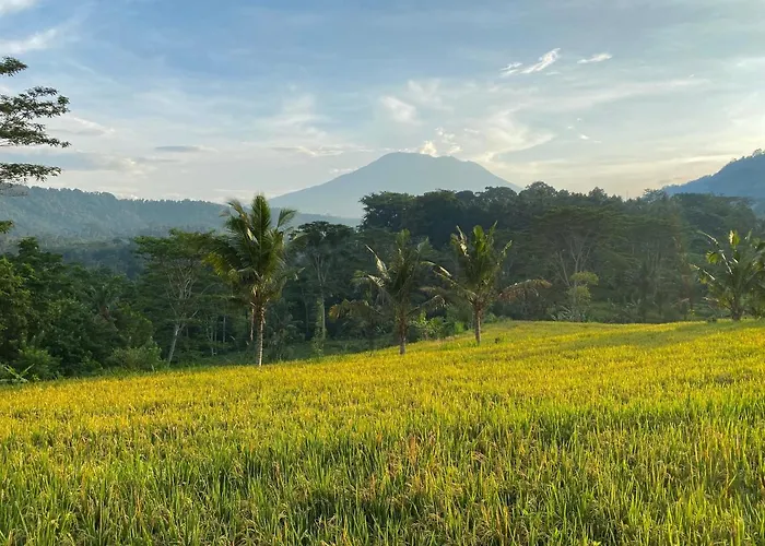 Kubu Tani Ferienpark Sidemen (Bali)