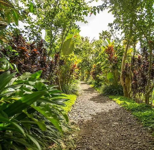 Ferienpark Kubu Tani 2*